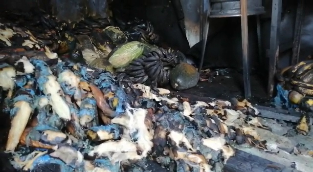 Señor denuncia quema de basura dentro de su propiedad en el área de sabaneta